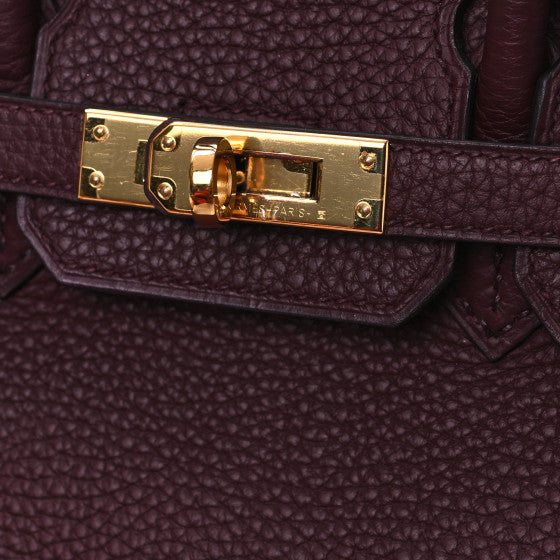 HERMES Togo Birkin 25 Bordeaux