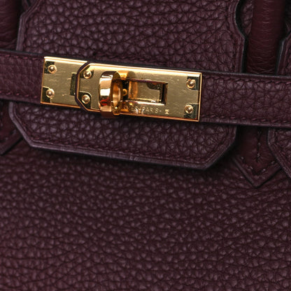 HERMES Togo Birkin 25 Bordeaux