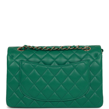 Chanel Small Classic Double Flap Bag Green Lambskin Light Gold Hardware