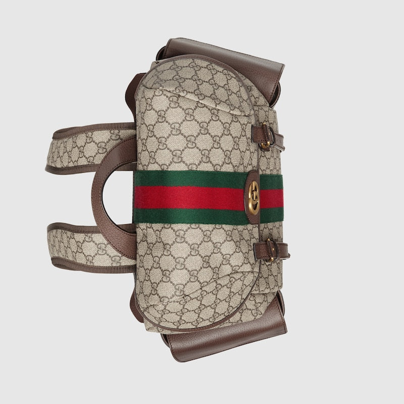 Gucci Ophidia medium backpack