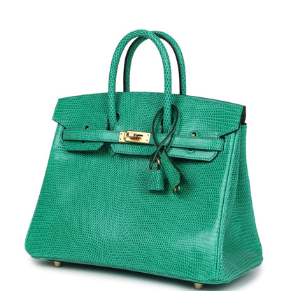 Hermes Birkin 25 Menthe Varanus Niloticus Lizard Gold Hardware