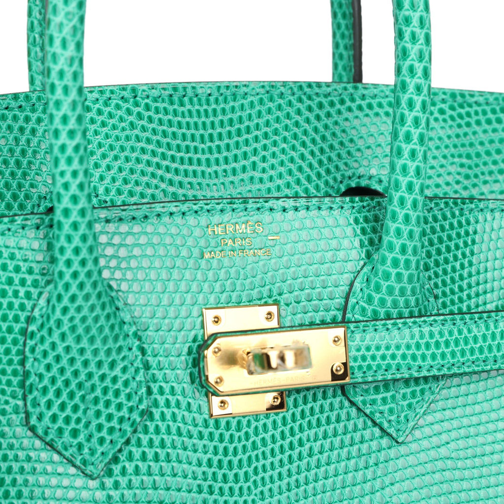 Hermes Birkin 25 Menthe Varanus Niloticus Lizard Gold Hardware