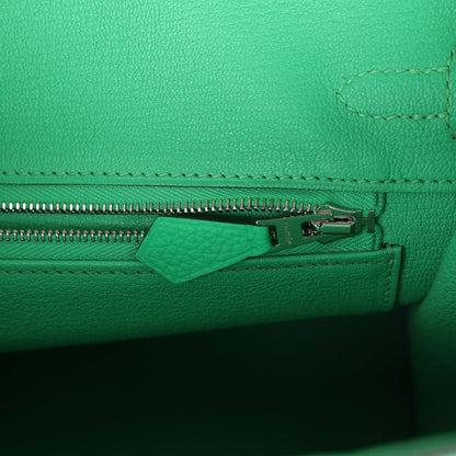 Hermes Birkin 25 Vert Comics Togo and Matte Alligator Touch Palladium Hardware