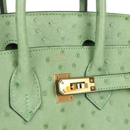 Hermes Birkin 25 Vert Criquet Ostrich Gold Hardware