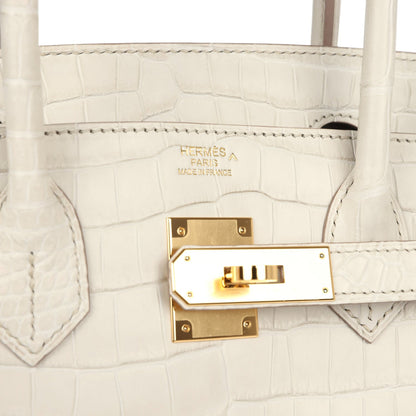 Hermès Birkin 30 Beton Matte Porosus Crocodile Gold Hardware