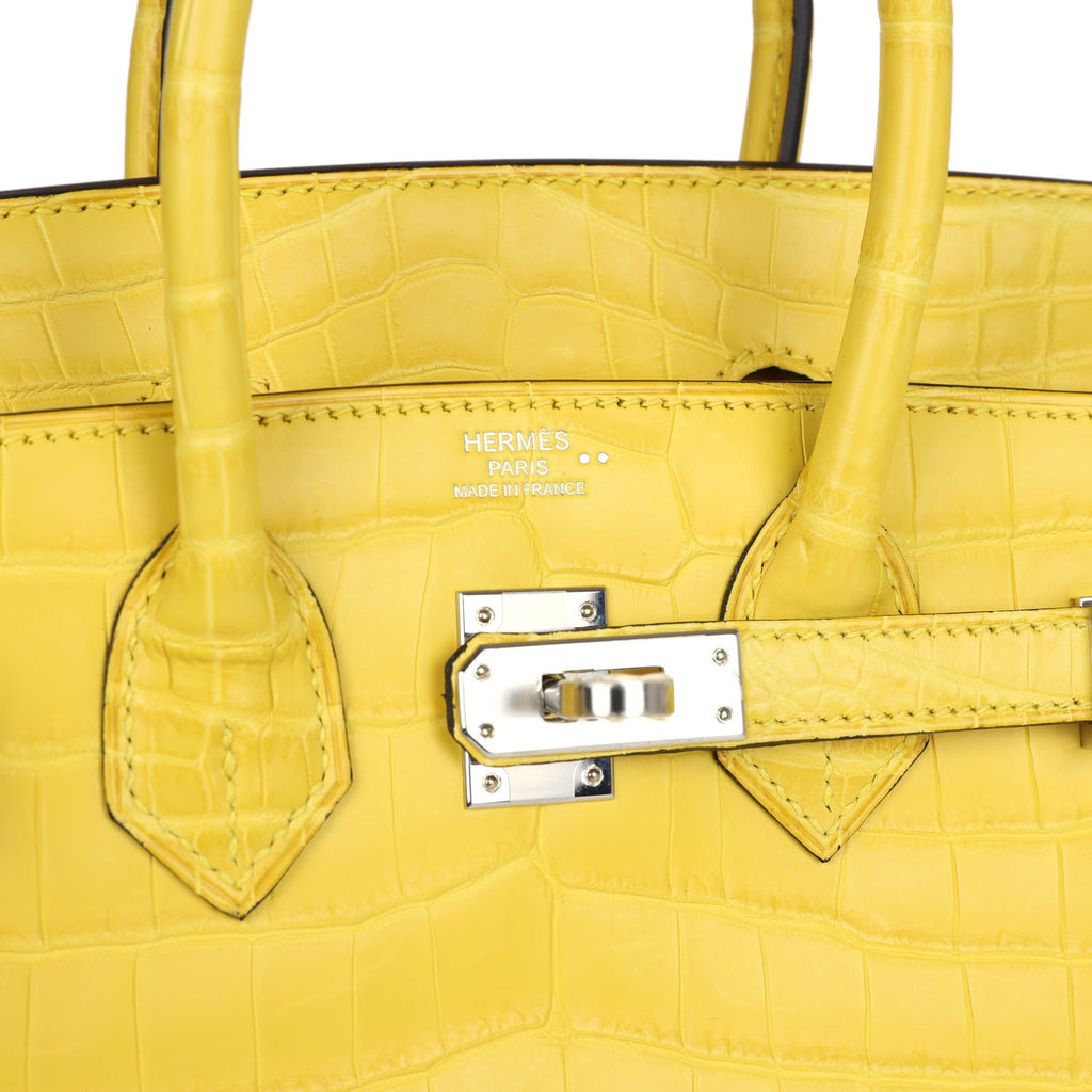 Hermès Birkin 25 Mimosa Matte Niloticus Crocodile Palladium Hardware