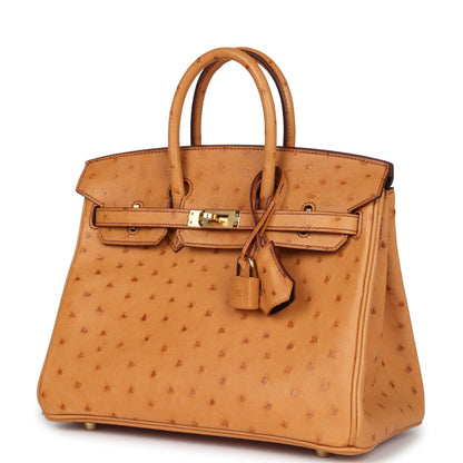 Hermes Special Order (HSS) Birkin 25 Gold Verso Ostrich Gold Hardware