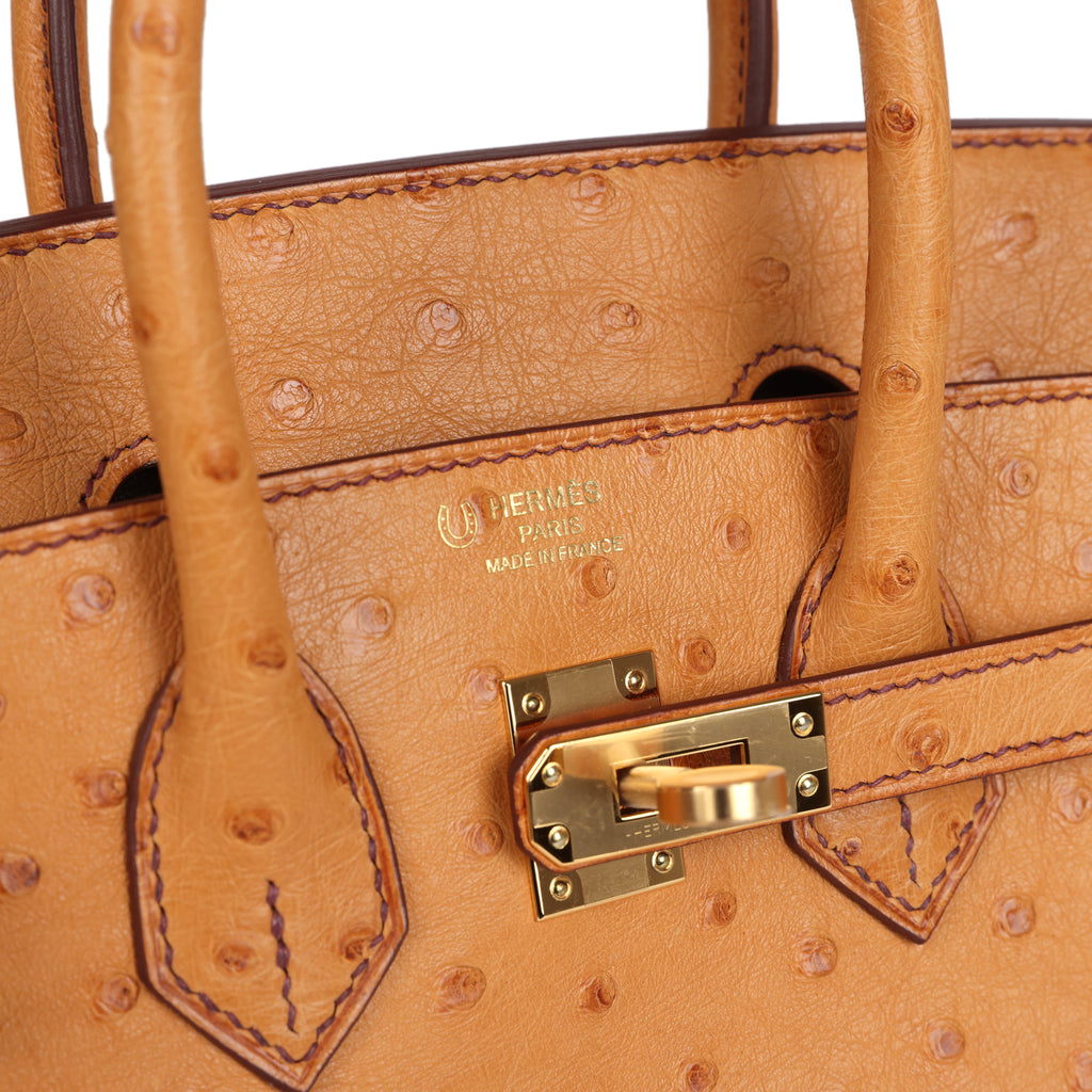 Hermes Special Order (HSS) Birkin 25 Gold Verso Ostrich Gold Hardware