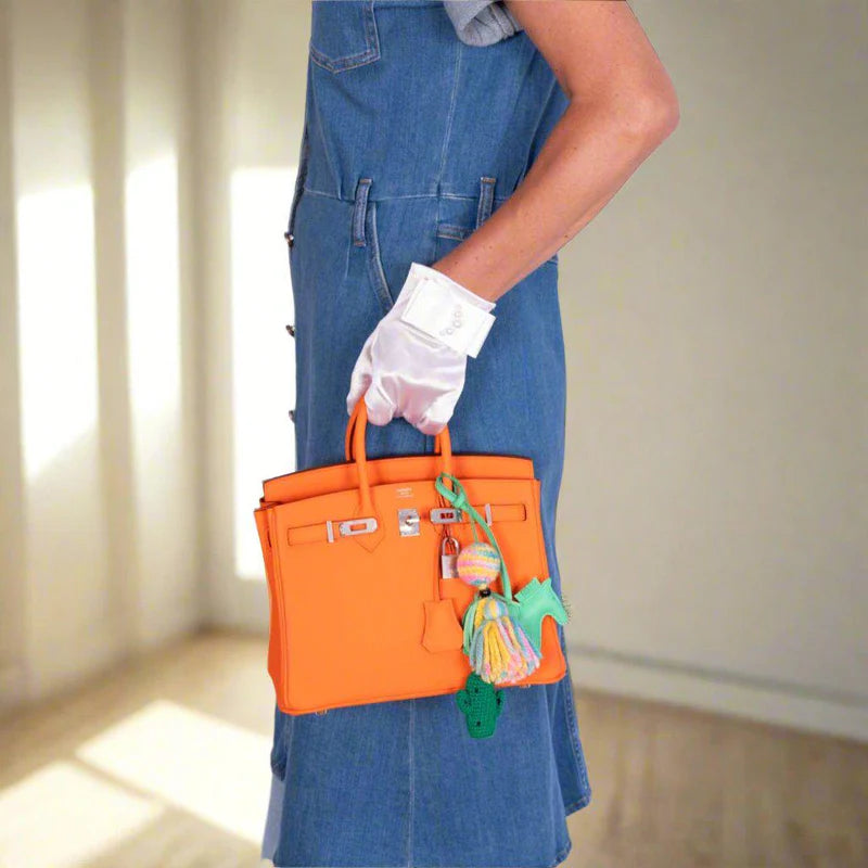 Hermès Birkin 25 Orange Minium Togo Palladium Hardware