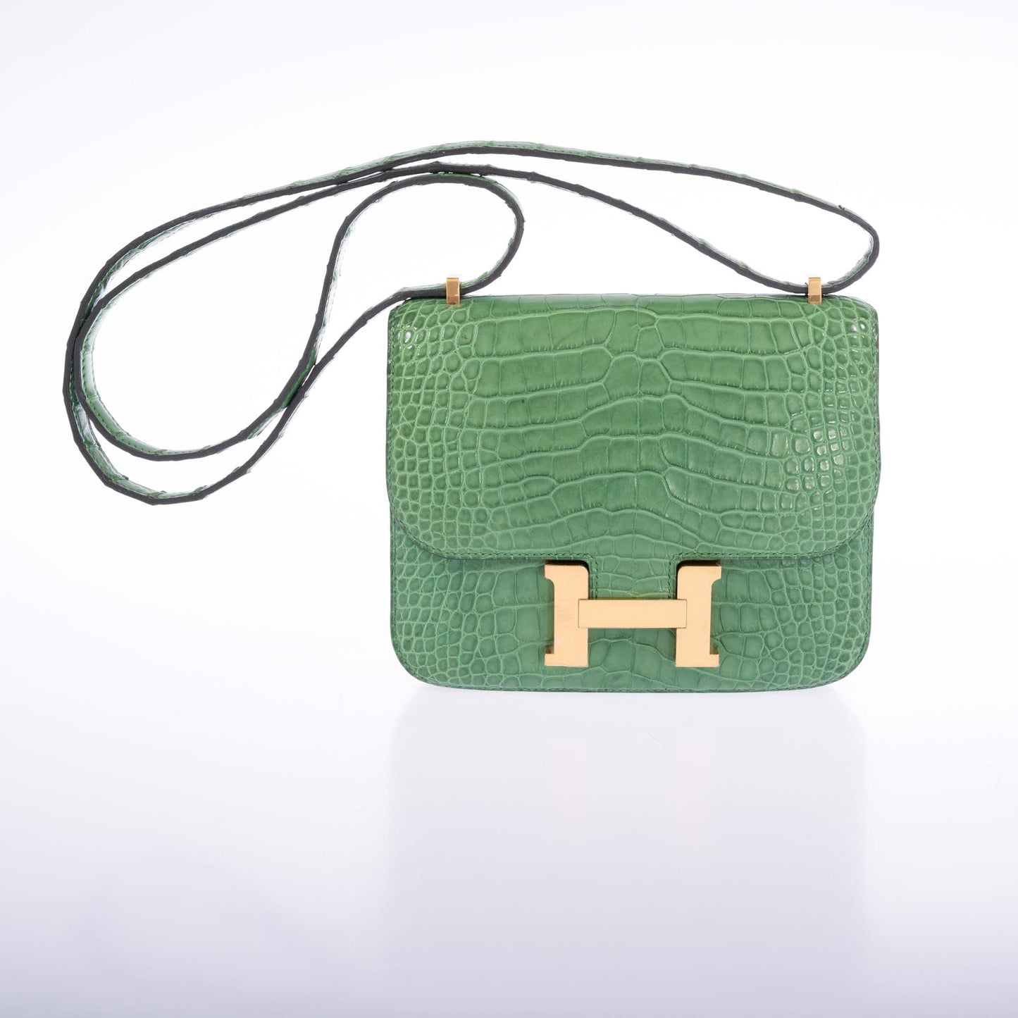 Hermès Constance Mini 18 Cactus Matte Alligator Gold Hardware