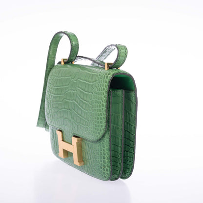 Hermès Constance Mini 18 Cactus Matte Alligator Gold Hardware