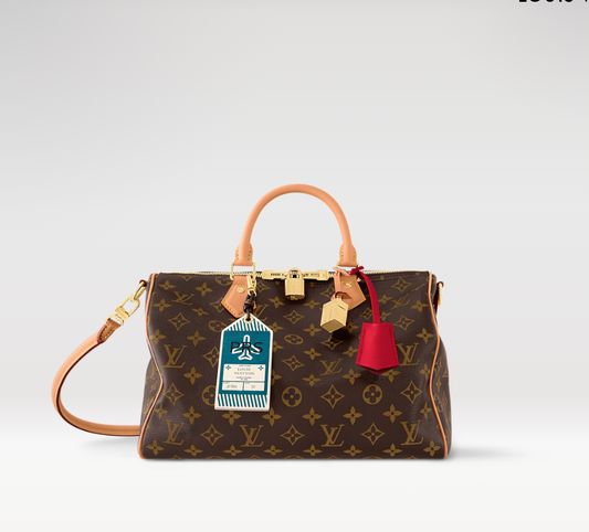 Louis Vuitton Speedy Soft 30 Crafty