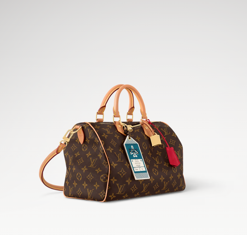 Louis Vuitton Speedy Soft 30 Crafty