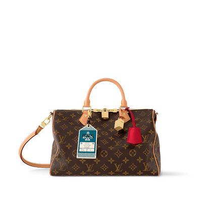 Louis Vuitton Speedy Soft 30 Crafty