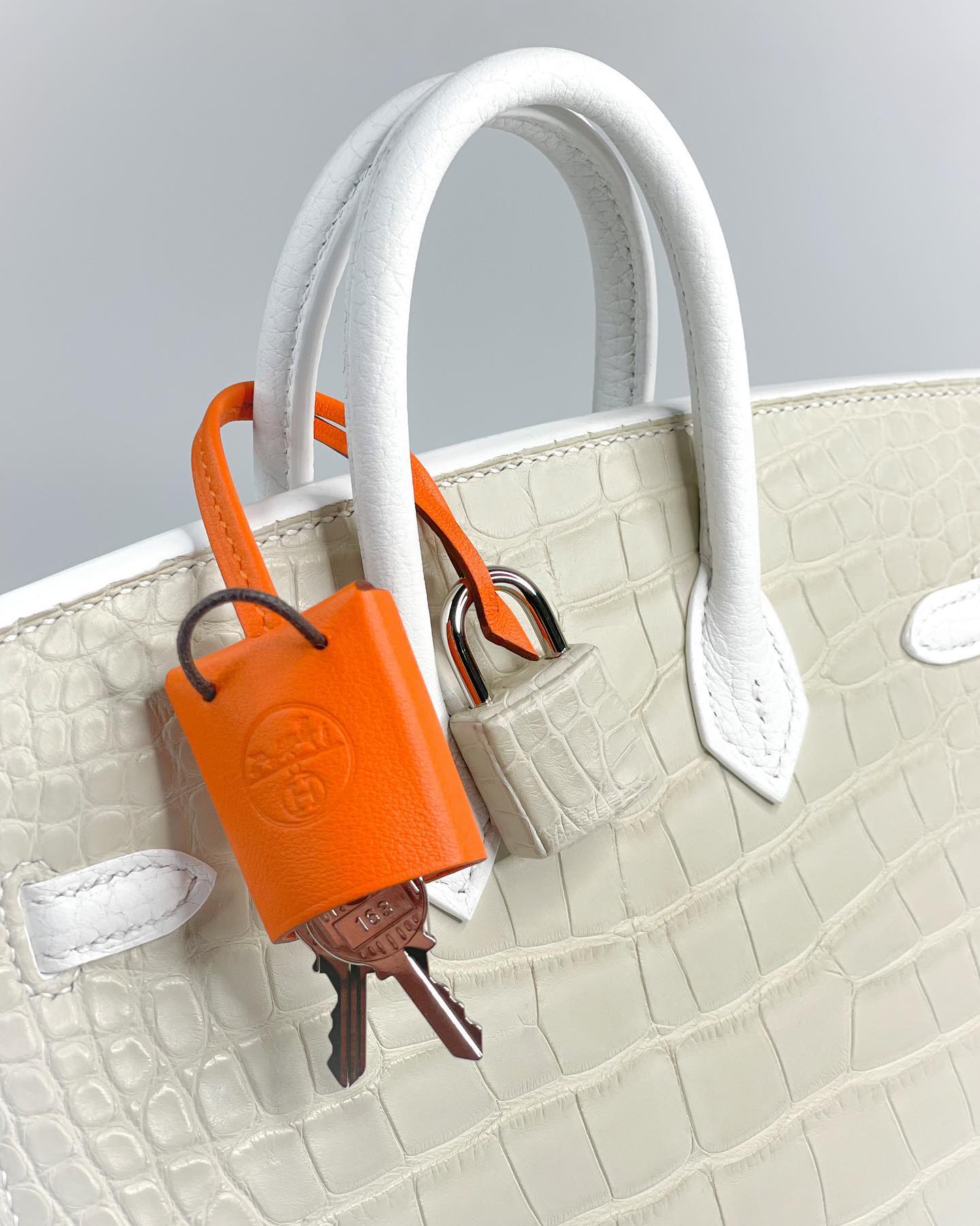 🧺 Hermès Handbag || 20cm Faubourg White Matte Alligator || Palladium Hardware