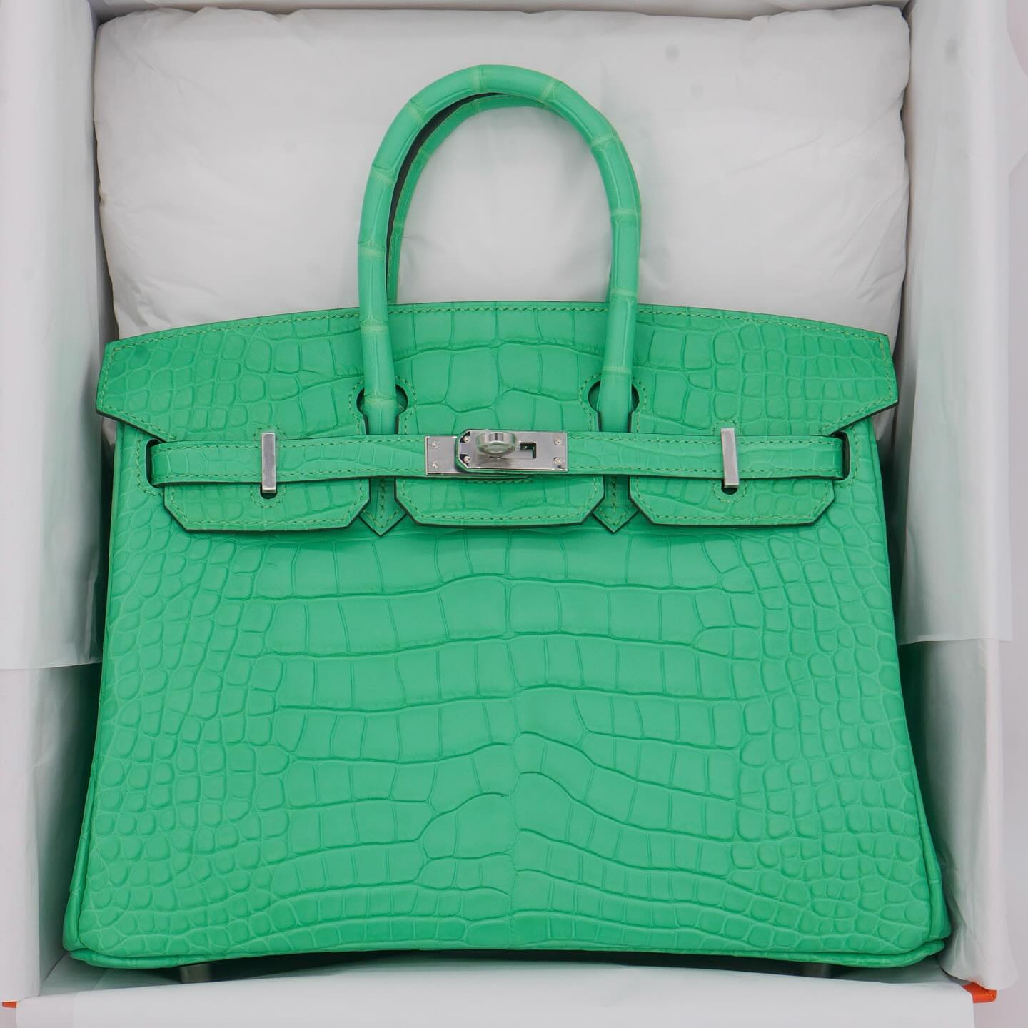 💚 Hermès Handbag ||30cm Birkin Vert Comics Matte Alligator || Palladium Hardware